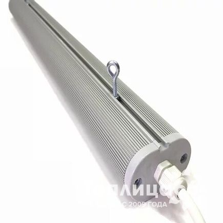 Фитосветильник ДСП 02-56-004 FitoLED 56 Eco Blue